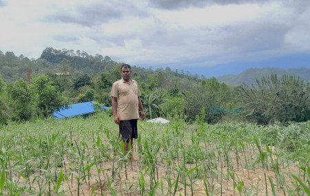 नैनसिंह खड्का आफ्नो बारीमा। तस्बिरः दिपकजंग शाही/सेतोपाटी